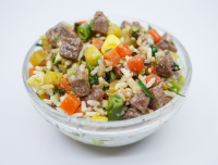 dogalicious-fresh-dog-food-beef