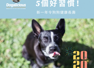 good habits for doggies