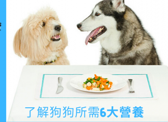 dogalicious_fresh_dog_meal_狗狗鮮食
