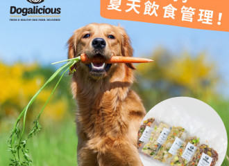 dog-Summer-food
