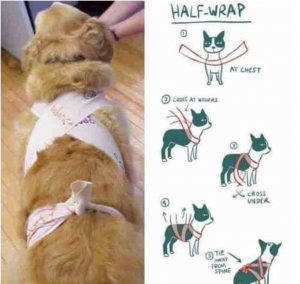 Dog-health-ttouch-wrap-anxiety
