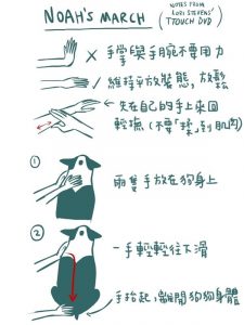 Dog-health-theraphy-ttouch