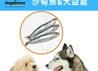 dog-nutrients-sardines