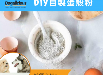 dog-nutrients-calcium-eggshell-powder