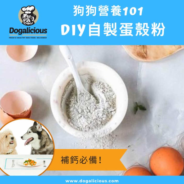 dog-nutrients-calcium-eggshell-powder