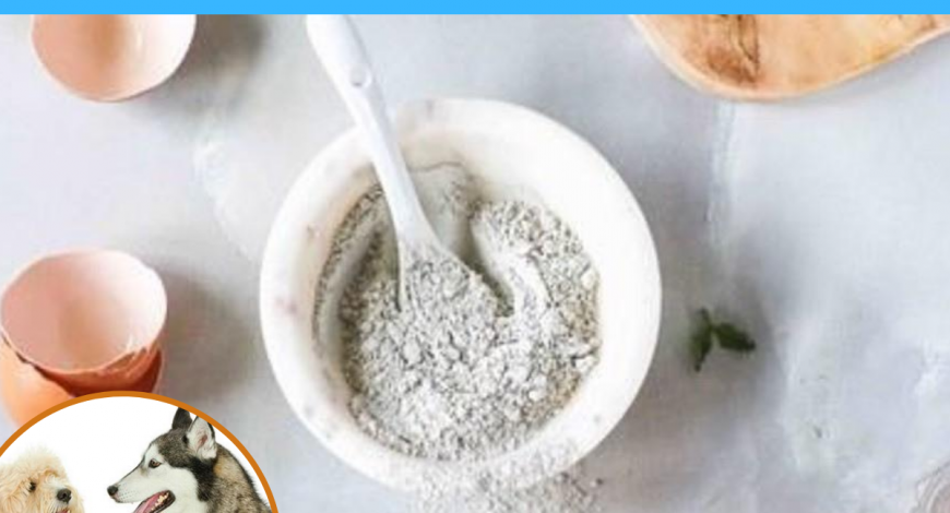 dog-nutrients-calcium-eggshell-powder