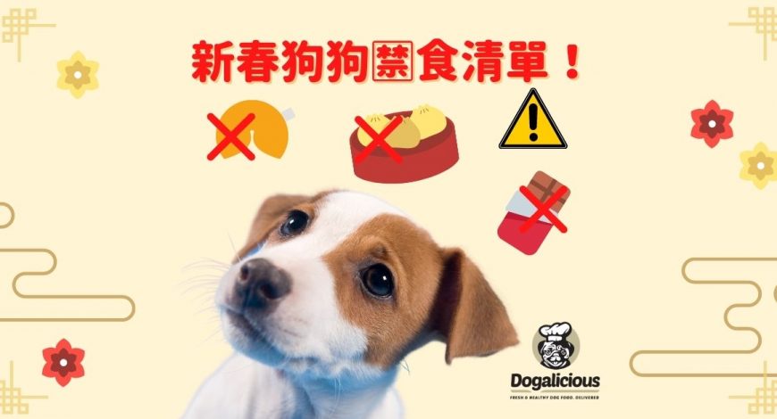 cny-human-food-that-dogs-cannot-eat