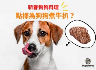 cooking-steak-for-dogs