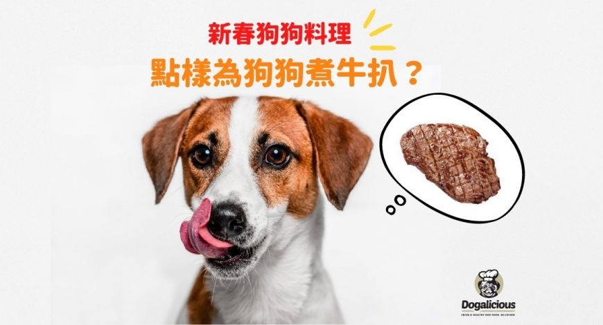 cooking-steak-for-dogs