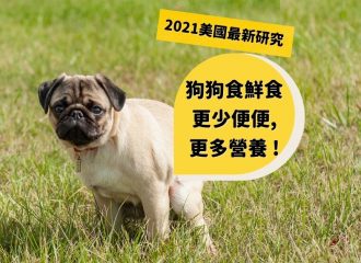 dogalicious-blog-fresh-dog-food-less-poop-pug