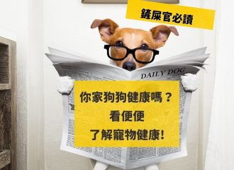 dogalicious-blog-healthy-dog-poop