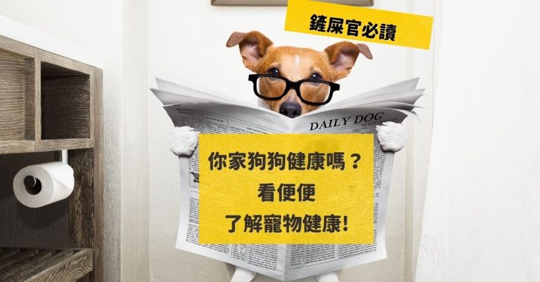 狗狗肚痾軟便？狗狗大便有血黏液代表? 看狗狗便便了解狗狗健康!