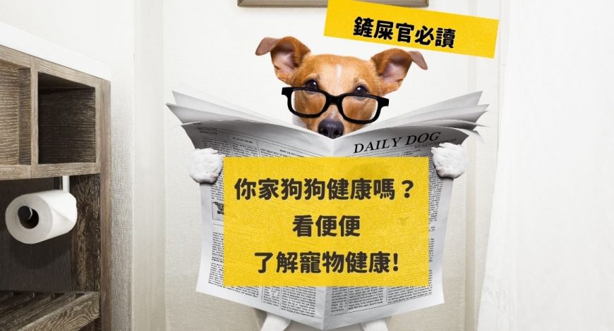 dogalicious-blog-healthy-dog-poop