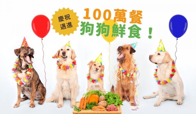 dogalicious-1millionmeal-celebration