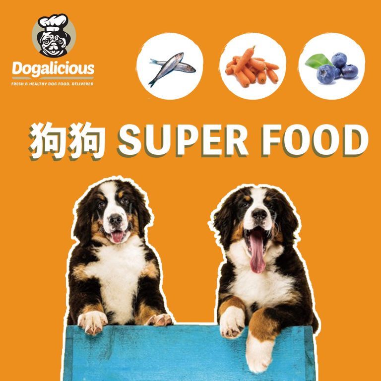 Dogalicious_dog_super_food