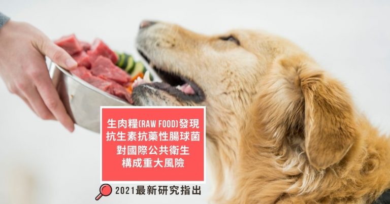 -raw-dog-food-impose-risk-on-public-health