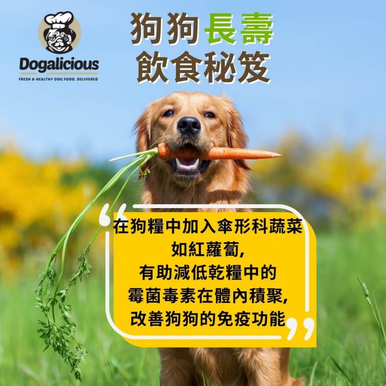 Dogalicious-carrot-longevity
