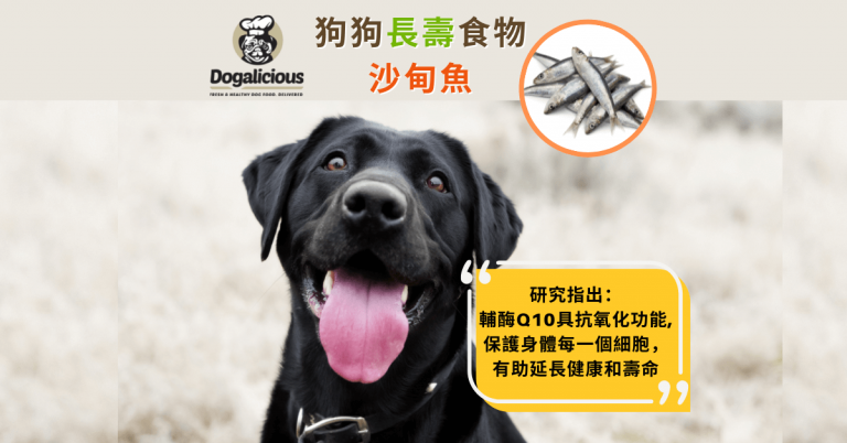 Sardine-benefits-for-dogs