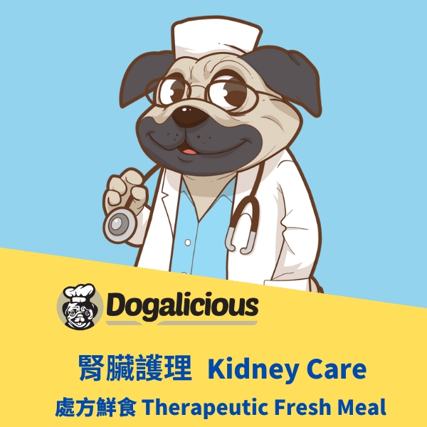 Kidney Care Therapeutic Fresh dog food