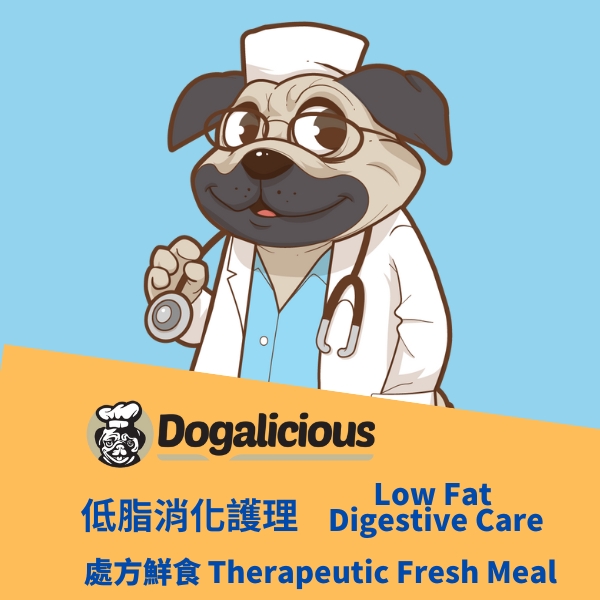 low fat digestive care therapeutic fresh meal