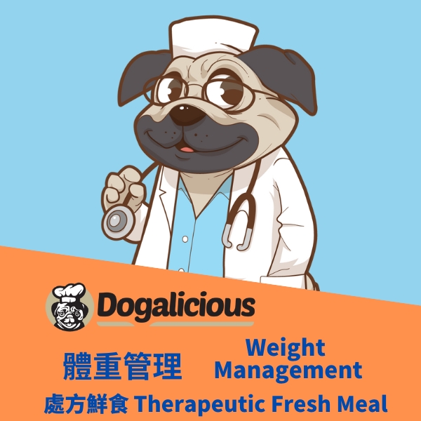weight management therapeutic fresh meal