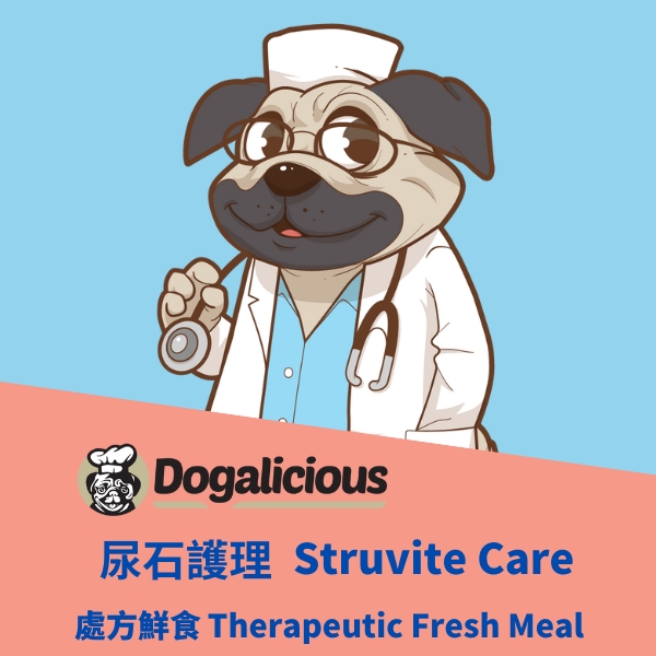 Struvite Care Therapeutic Fresh Meal