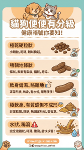 狗狗肚痾軟便？狗狗大便有血黏液代表? 看狗便便了解狗狗健康!