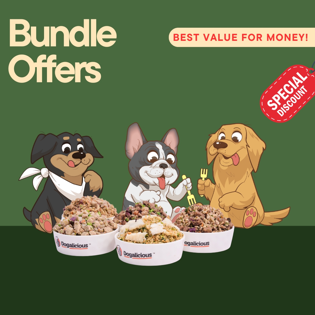 Fresh Dog Food Bundle Offers