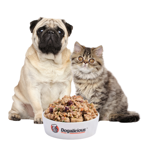 狗狗鮮食, 貓貓鮮食 寵物鮮食, fresh dog food, fresh cat food, fresh pet food