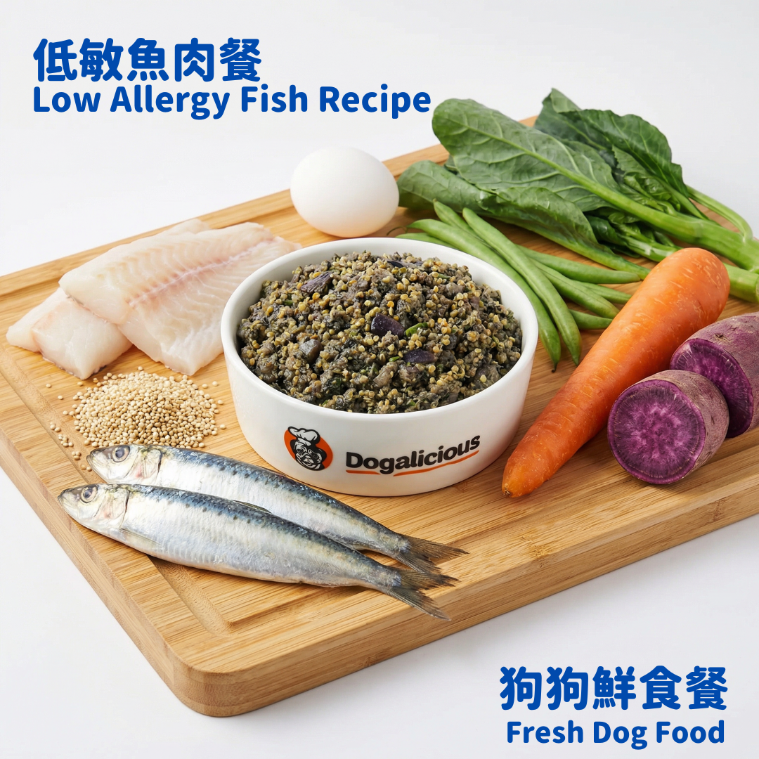狗狗鮮食 — 低敏健美魚肉餐 fresh dog food low allergy fish